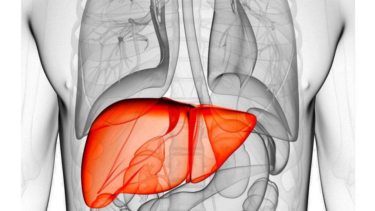 লিভার ড্যামেজ: ত্বকে সংকেত দেয় যে ৪ লক্ষণ, জানুন এখনি