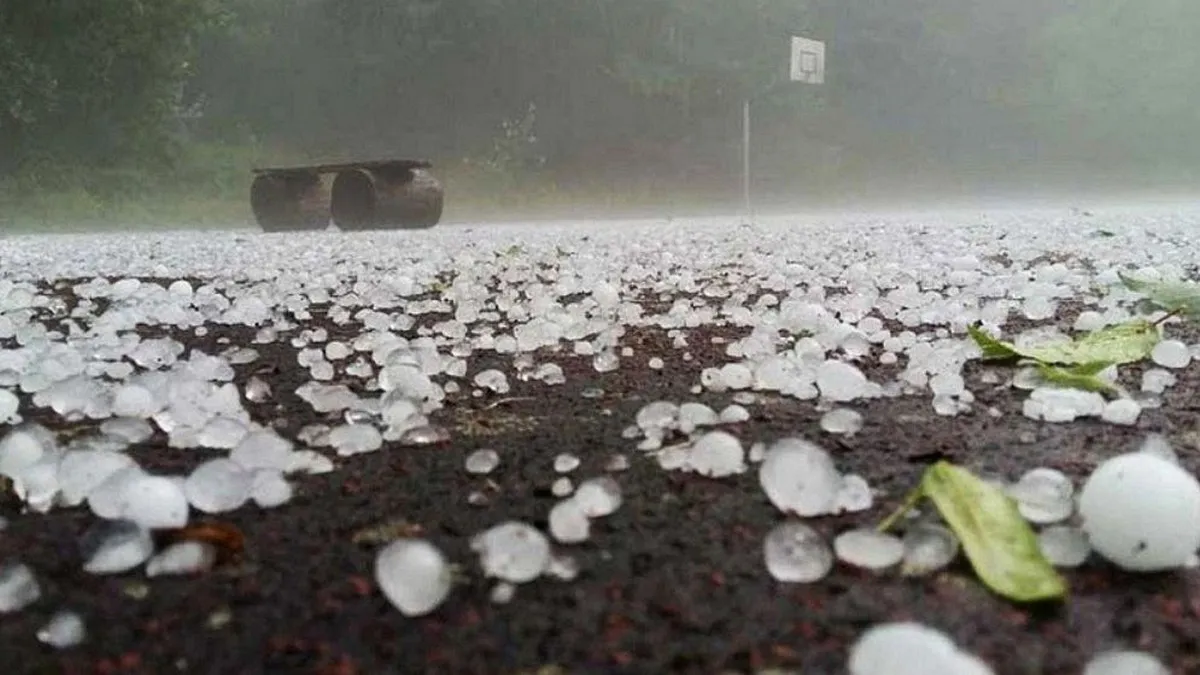 ১২ ডিগ্রিতে কাঁপছে দেশ: আসছে ২-৩টি তীব্র শৈত্যপ্রবাহ, জানাল আবহাওয়া অধিদপ্তর