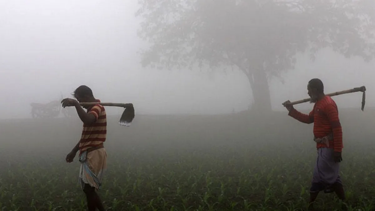 আবহাওয়ার খবর: তাপমাত্রা নামবে ৮ ডিগ্রিতে! শৈত্যপ্রবাহ 'পরশ' আসছে