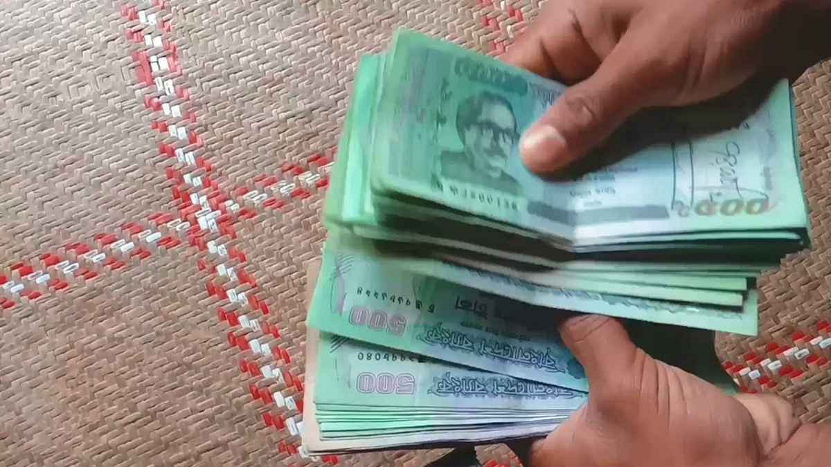 কৃষি পণ্যের যাকাত: কখন, কতটুকু এবং এর ইসলামী বিধান