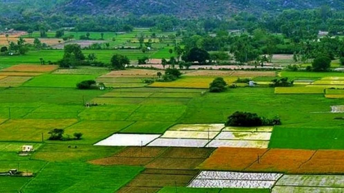 ৬ শ্রেণির জমি বিক্রি নিষিদ্ধ: ধরা পড়লেই কঠোর শাস্তি