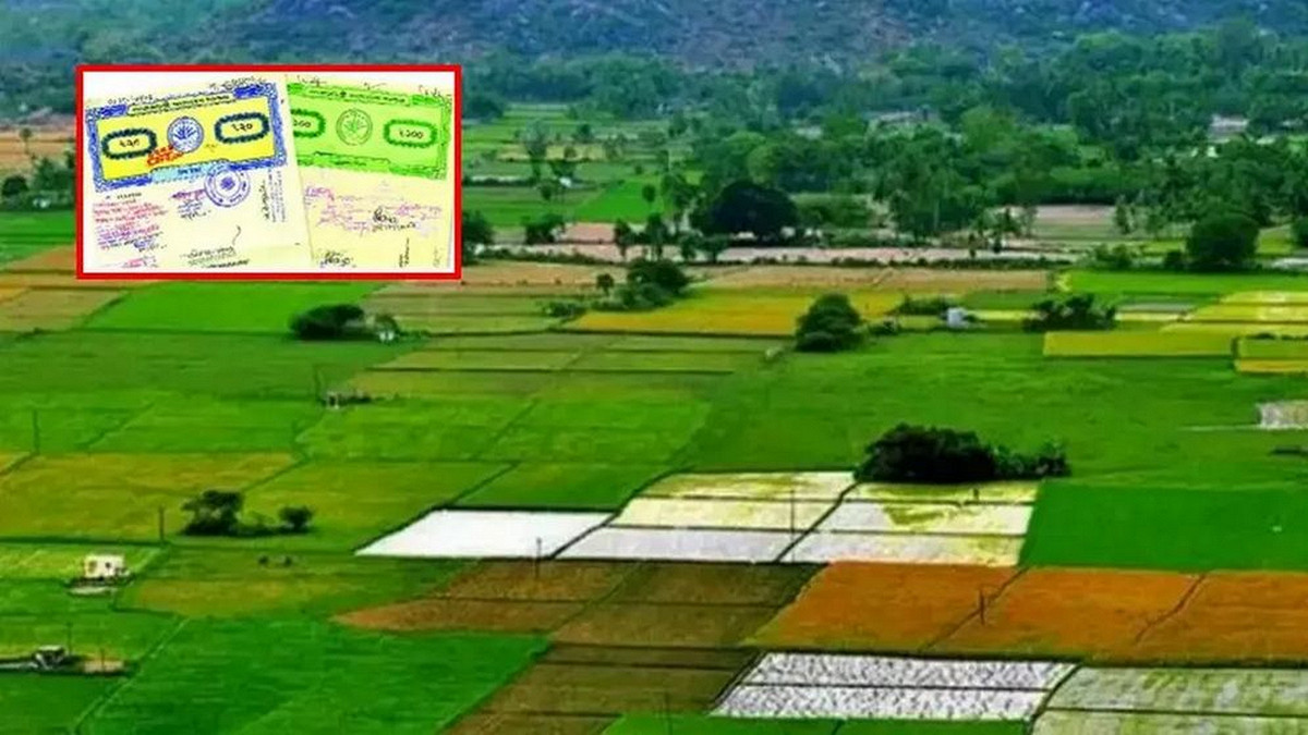 ভূমি মালিকের ১০ ভুলে নামজারি বাতিল, আপনার জমি বাঁচাতে যা করণীয়