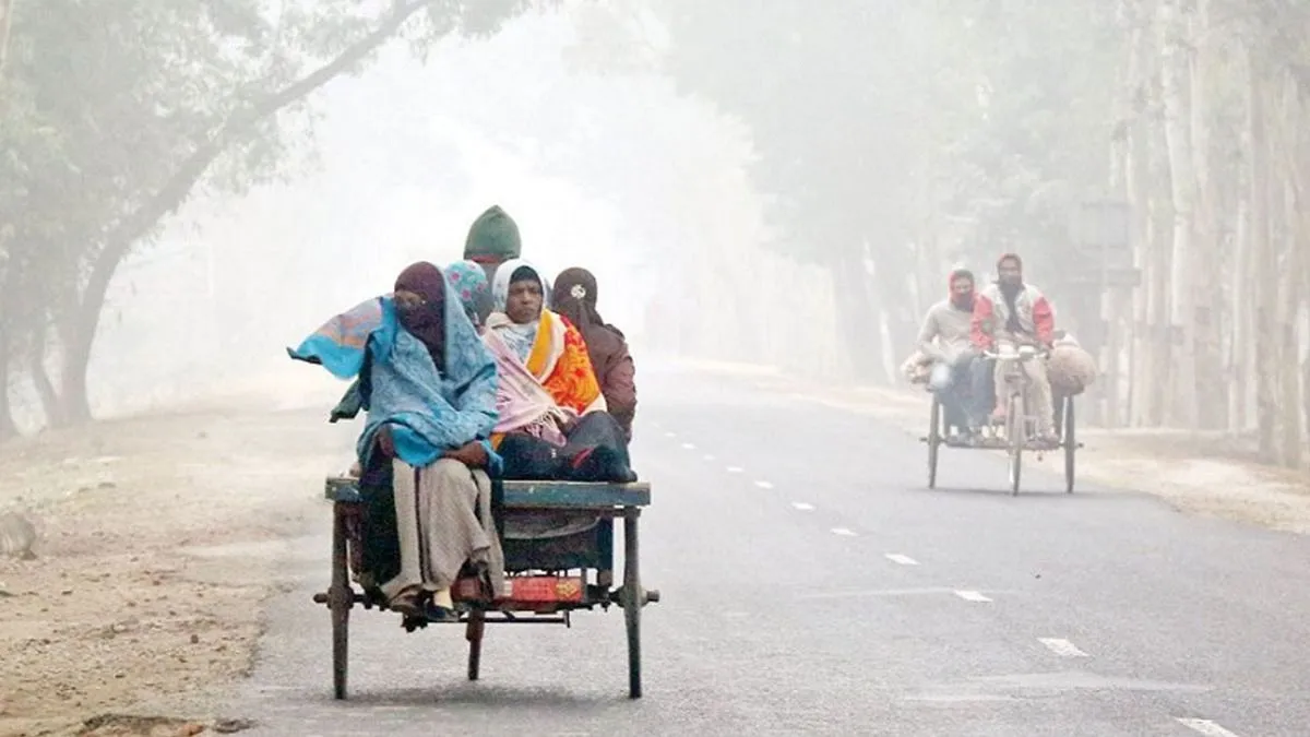আবহাওয়া খবর: শীতের পারদ কি আরও নামবে? জানুন