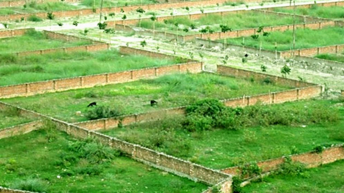 জমি জবরদখল হলে কী করবেন? উদ্ধারের আইনি পথ ও সঠিক নিয়ম জানুন