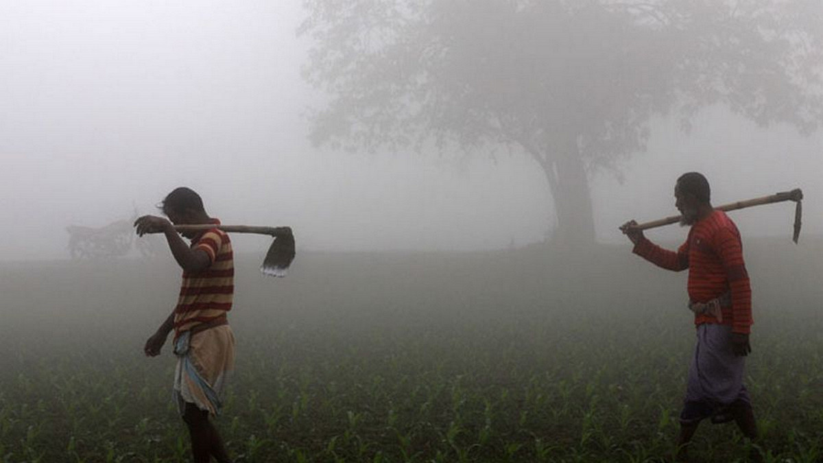 আবহাওয়ার খবর: ১২০ ঘণ্টার পূর্বাভাসে ঘন কুয়াশা ও তাপমাত্রা কমার সংকেত