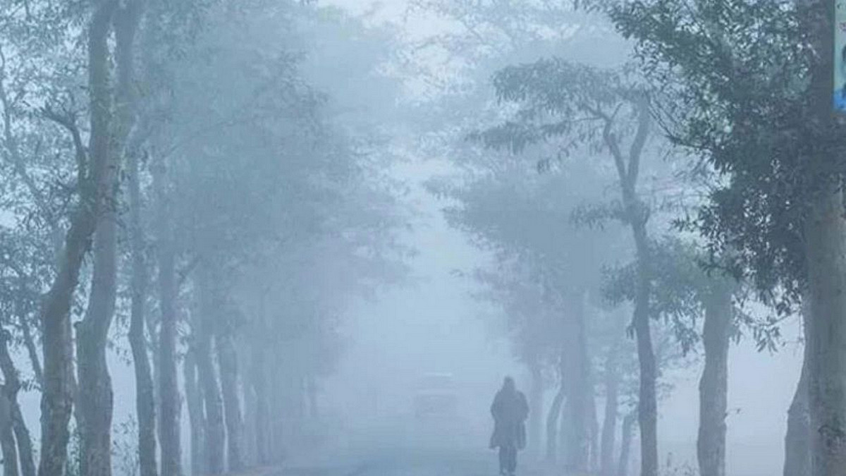 today weather: কুয়াশার দাপটে রুদ্ধশ্বাস জনজীবন-রোদের দেখা মিলবে কবে?