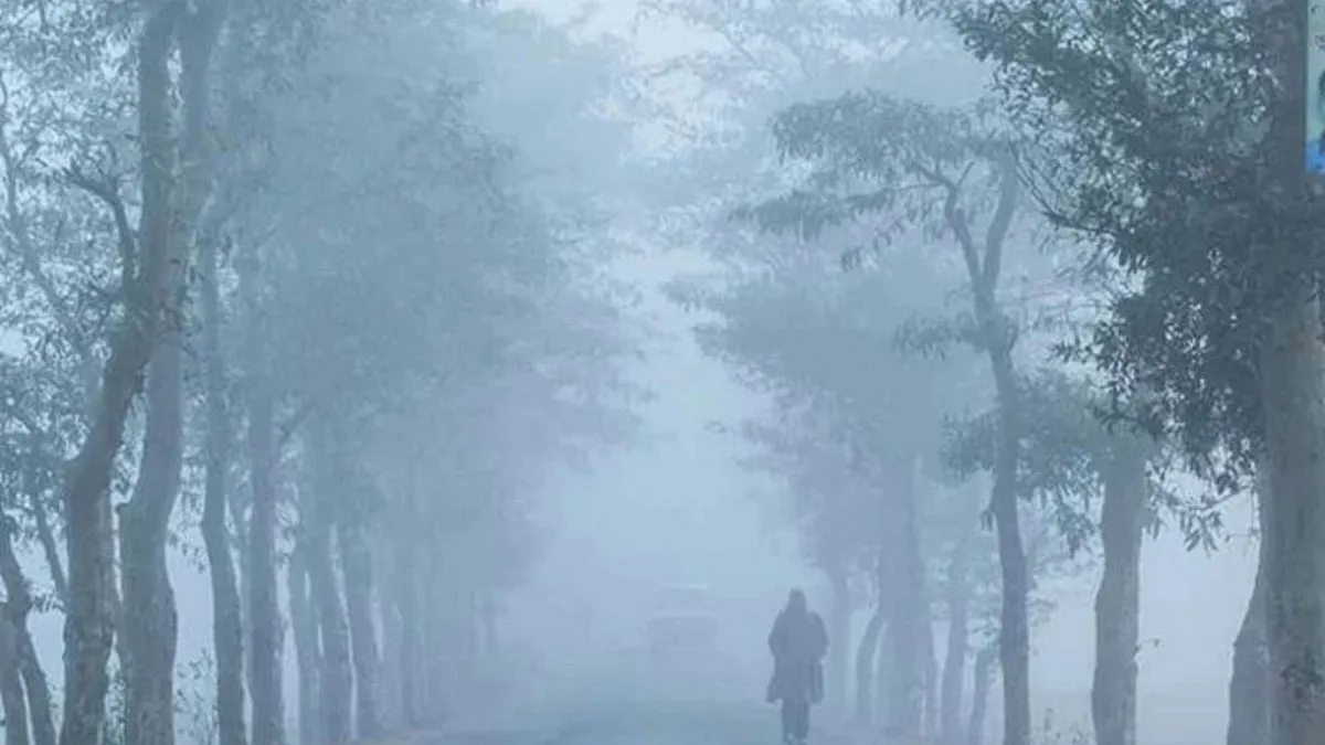 today weather: কুয়াশার দাপটে রুদ্ধশ্বাস জনজীবন-রোদের দেখা মিলবে কবে?