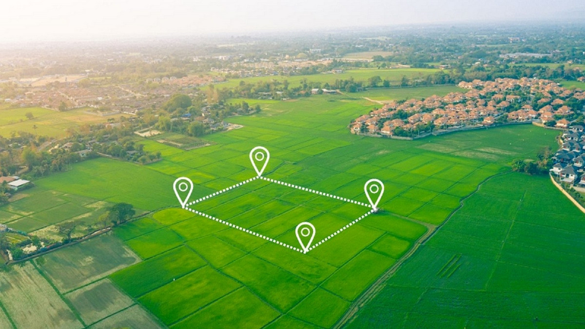 সাবধান! ৩ বছর খাজনা না দিলেই নিলাম হবে জমি, জানুন নতুন নিয়ম