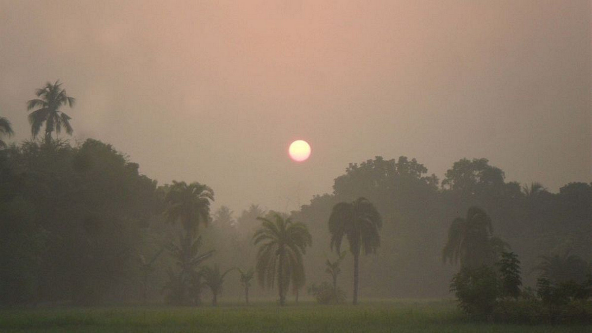শৈত্যপ্রবাহ কতদিন চলবে? ২০ জেলা নিয়ে বড় পূর্বাভাস আবহাওয়া অফিসের