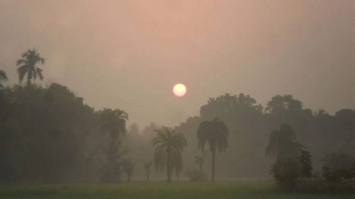 শৈত্যপ্রবাহ কতদিন চলবে? ২০ জেলা নিয়ে বড় পূর্বাভাস আবহাওয়া অফিসের