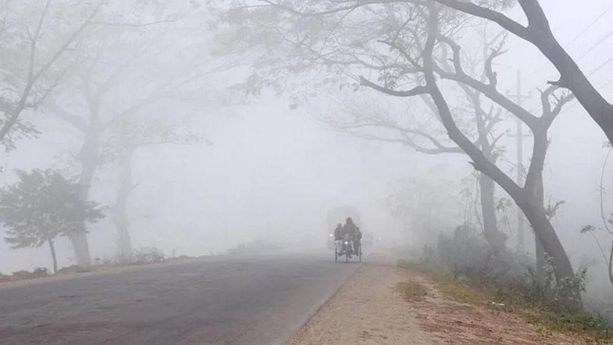 আবহাওয়ার খবর: ফের বাড়ছে শীত, কাল থেকে দেশজুড়ে শৈত্যপ্রবাহ