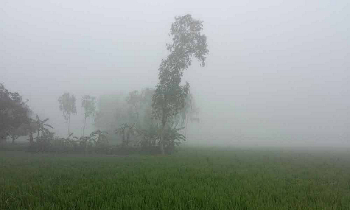 শৈত্যপ্রবাহের ভয় নেই, তবে তাপমাত্রা কমবে কবে? জানাল আবহাওয়া অধিদপ্তর