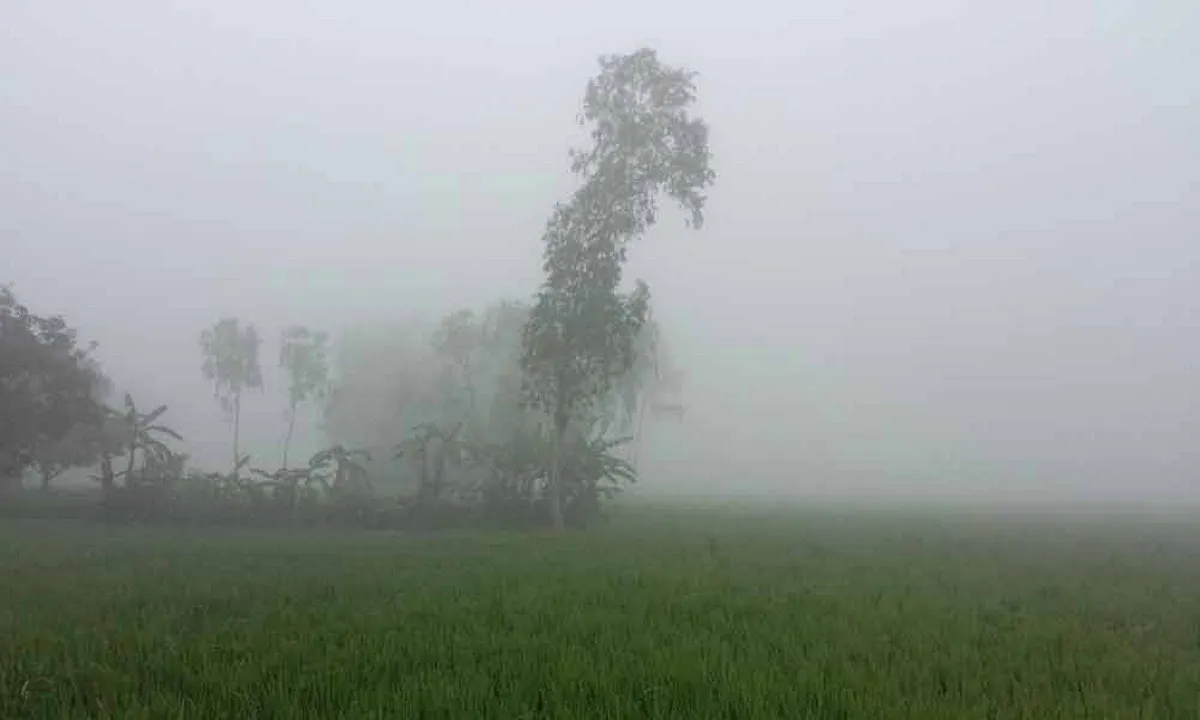 শৈত্যপ্রবাহের ভয় নেই, তবে তাপমাত্রা কমবে কবে? জানাল আবহাওয়া অধিদপ্তর