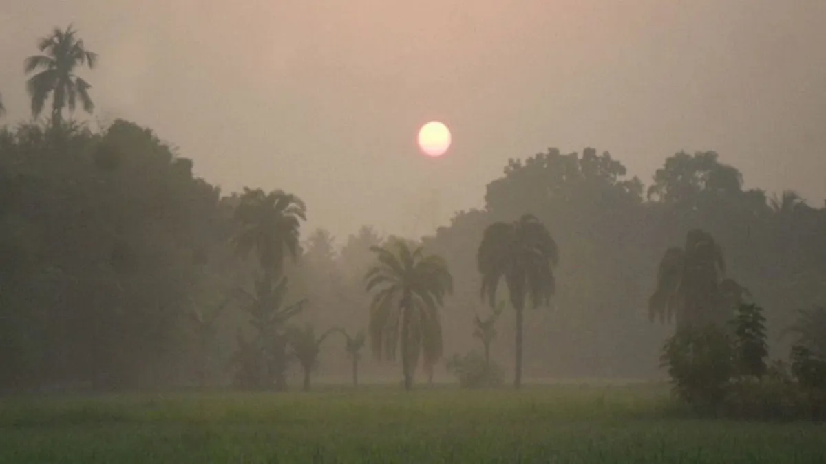আগামী ৫ দিন শীত কেমন থাকবে? আবহাওয়া অফিসের নতুন বার্তা