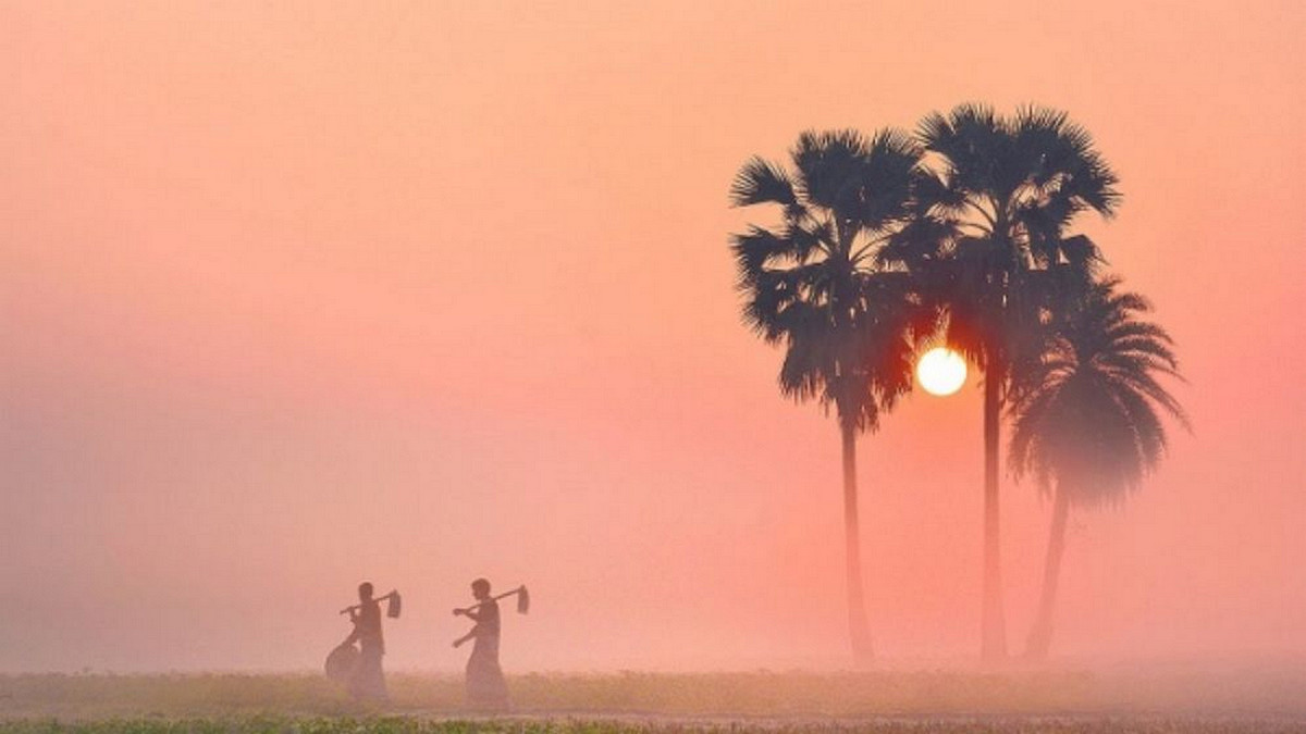 কাঁপবে দেশ! ৫ দিনের আবহাওয়ার পূর্বাভাসে বড় দুঃসংবাদ দিল অফিস