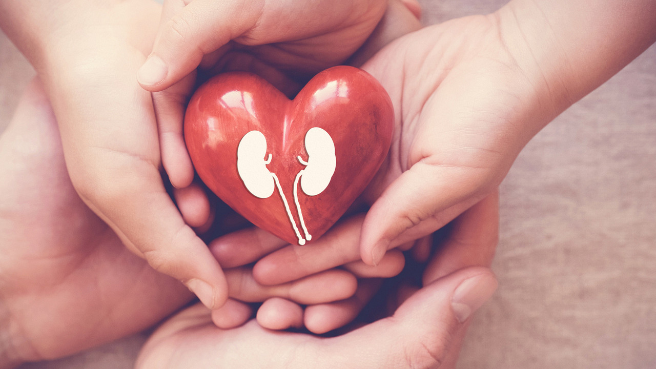 কিডনি বিকল হওয়ার ঝুঁকি কমাবে আপনার রান্নাঘরের এই সাধারণ খাবারগুলো