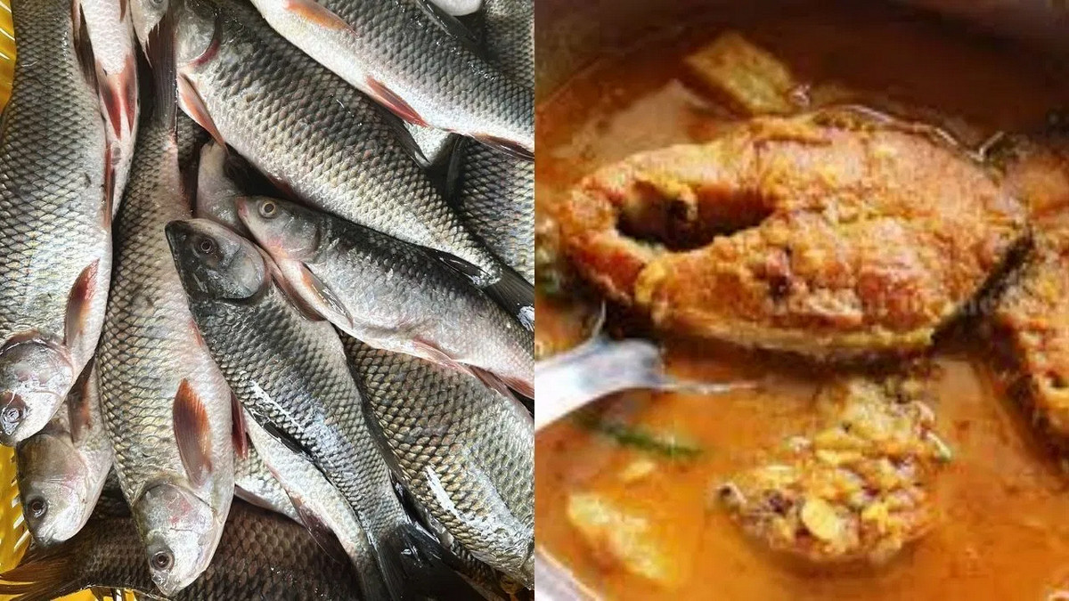 যে মাছ নিয়মিত খেলেই কমতে পারে হৃদ্‌রোগের আশঙ্কা