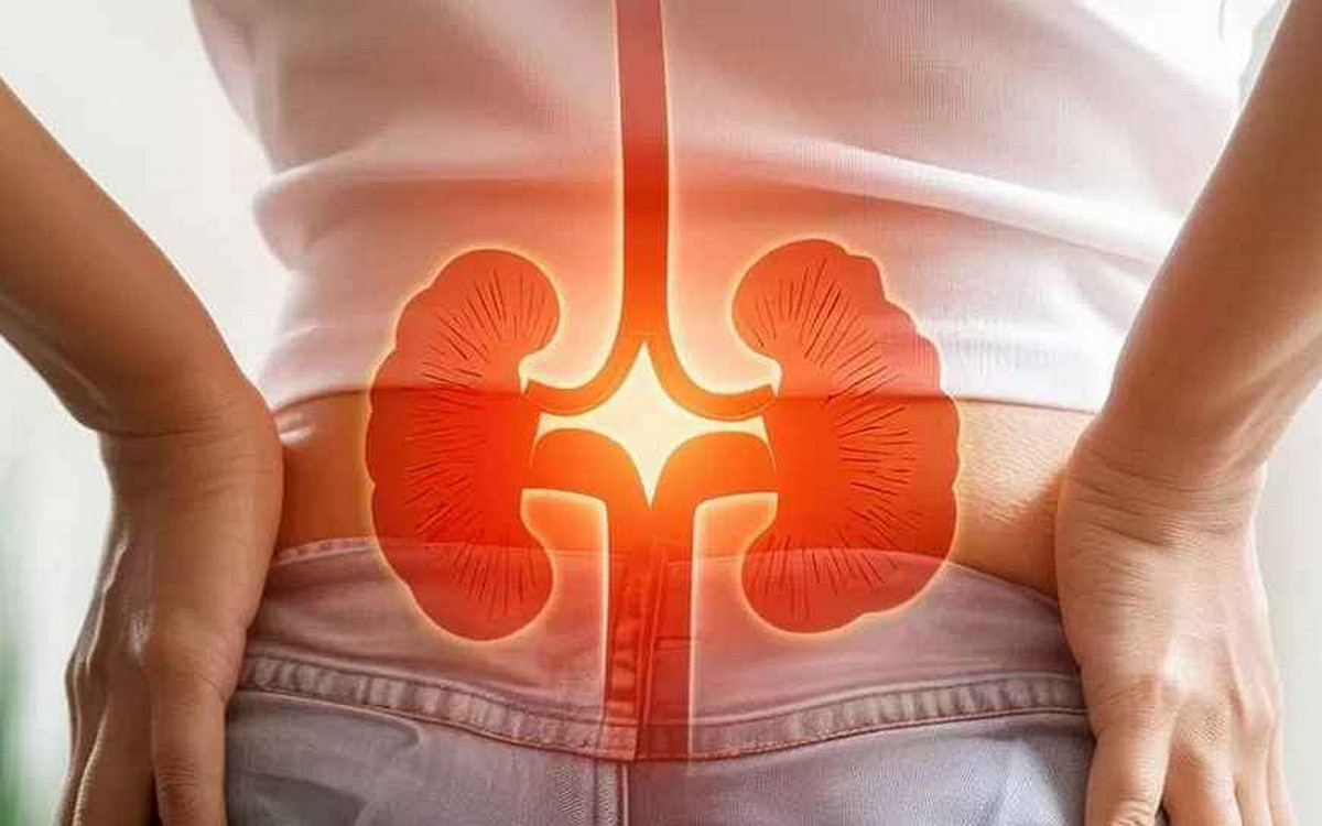 সাবধান! কিডনি বিকল হওয়ার আগে এই ৫ জায়গায় ব্যথা হয়