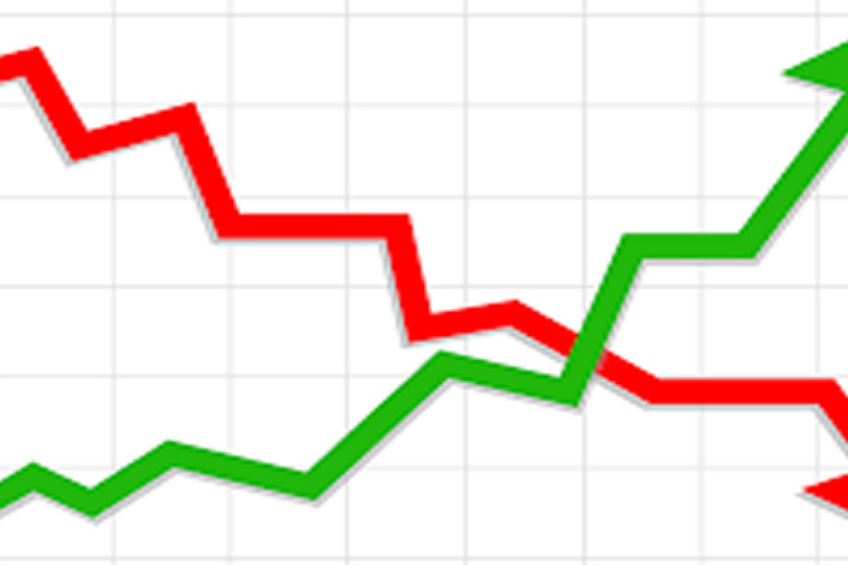 শেয়ারবাজারে বড় পতন: বিপরীত স্রোতে এই ৫ কোম্পানি