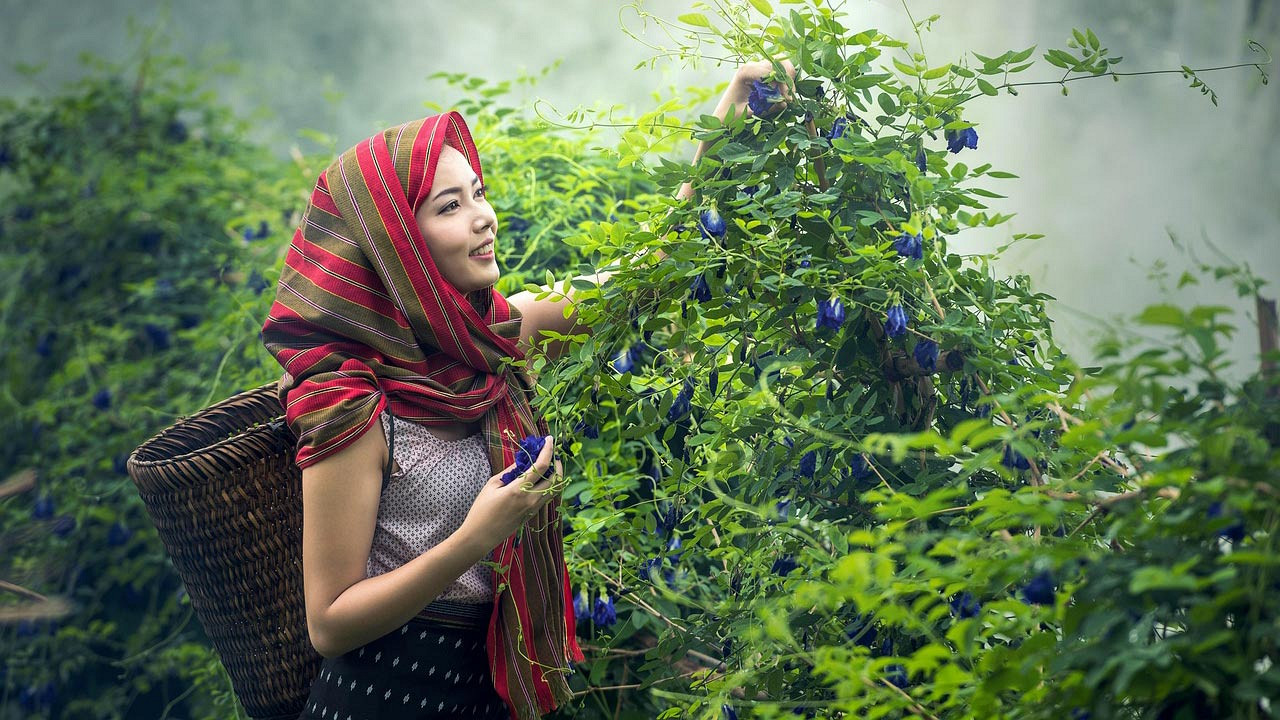 মানসিক চাপ কমানোর সহজ উপায়