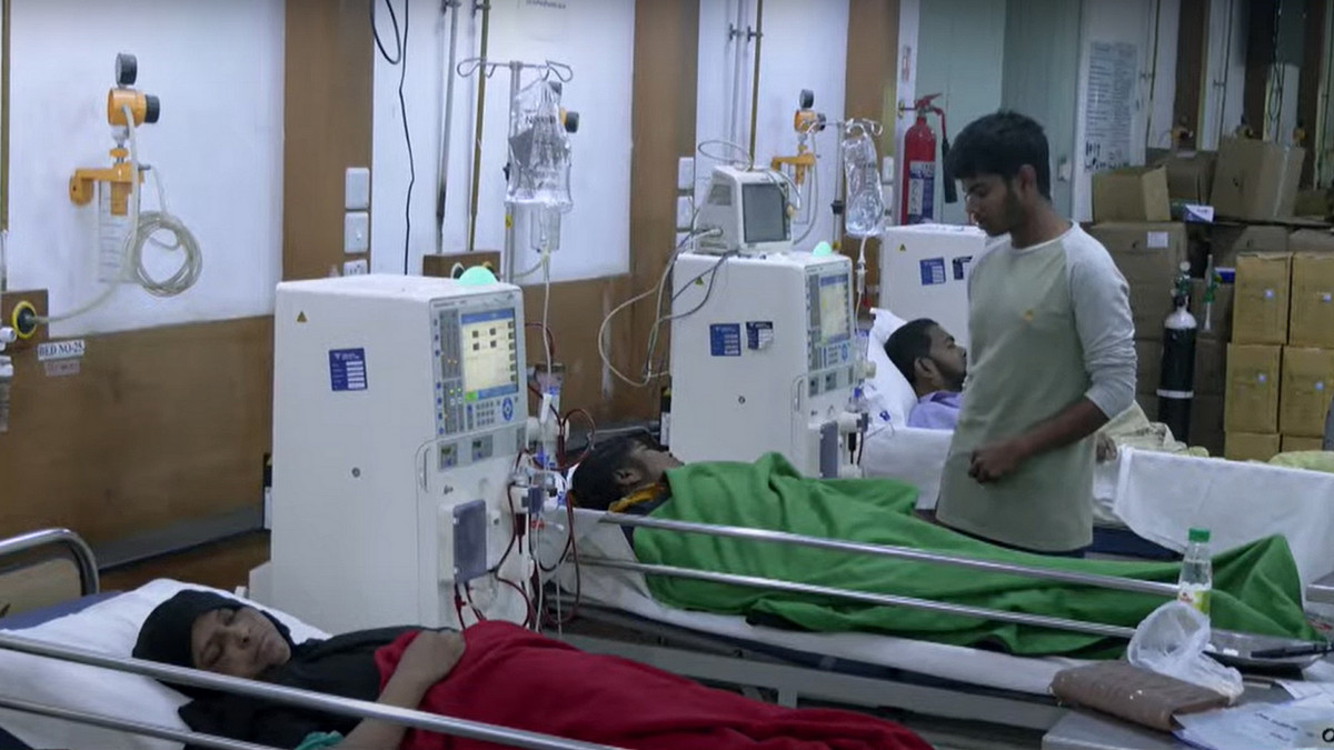 দেশে ৩ কোটি কিডনি রোগী! আক্রান্ত হওয়ার আগেই যা করবেন