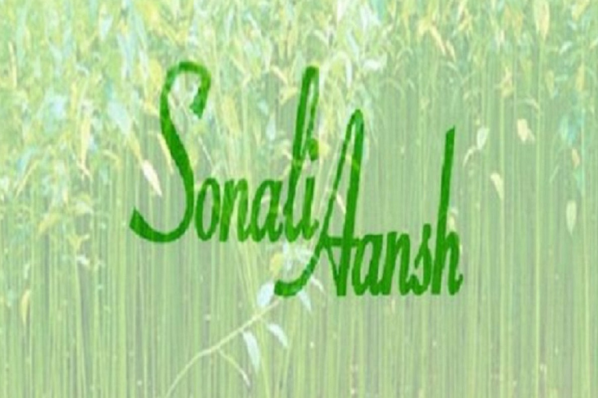 শেয়ারবাজারে বড় কারসাজি: সোনালি আঁশের অর্থ আত্মসাতের চিত্র