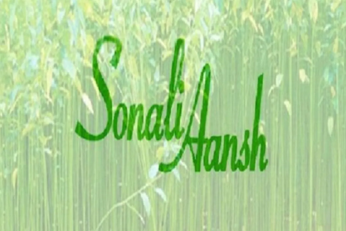 শেয়ারবাজারে বড় কারসাজি: সোনালি আঁশের অর্থ আত্মসাতের চিত্র