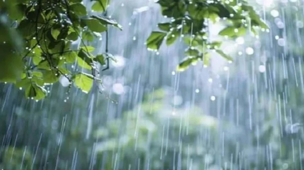 একটানা ৫ দিনের বৃষ্টির পূর্বাভাস, যা বলছে আবহাওয়া অধিদপ্তর
