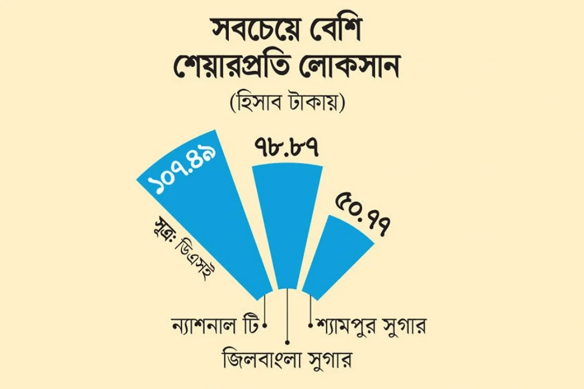 সরকারি কোম্পানিতে বড় ধাক্কা, লোকসানে ১২টি