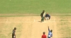 ১৬ ওভারেই শেষ বাংলাদেশ