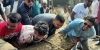 আবারও অনন্য দৃষ্টান্ত স্থাপন করলেন মাশরাফি, অ্যাম্বুলেন্স দেখে গাড়ি থেকে নেমে রাস্তা থেকে গাছ সরালেন