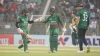 মুশফিকের ঝড়ো ফিফটি, বিশার সংগ্রহের পথে বাংলাদেশ, দেখেনিন সর্বশেষ স্কোর