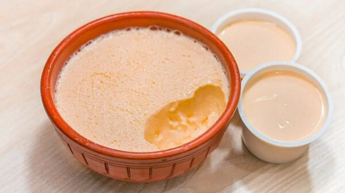 যে উপকারিতার জন্য খাদ্য তালিকায় দই রাখা জরুরি