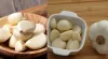 রসুনের ৫টি আশ্চর্য উপকারিতা
