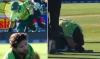 পাকিস্তানি ওপেনার ইমাম-উল-হক বলের আঘাতে হাসপাতালে