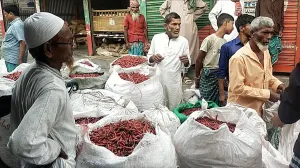 একলাফে কেজিতে ১০০ টাকা কমলো শুকনো মরিচের দাম