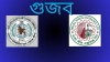গুজবের ফাঁদে শেয়ারবাজার: জুয়াড়ি চক্রের নতুন কৌশল