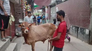 পশুর এই ৭ ত্রুটি থাকলে কোরবানি বাতিল হয়ে যেতে পারে!