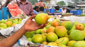 কেমিক্যালমুক্ত আম চিনবেন ৫ মিনিটেই – ৮টি সঠিক উপায়
