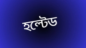বিক্রেতা সংকটে পড়ে ৬ কোম্পানির শেয়ার হল্টেড