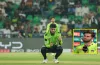৩ উইকেট নেয়ার পর রিশাদকে নিয়ে শাহিন আফ্রিদির মন্তব্য