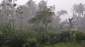 ৬০ কিলোমিটার বেগে সাত জেলায় সন্ধ্যার মধ্যে ঝড়ের পূর্বাভাস