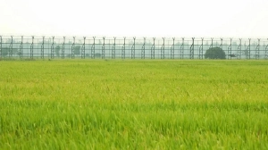 কুলাউড়া সীমান্তে বিএসএফের গুলিতে প্রাণ গেল প্রদীপের