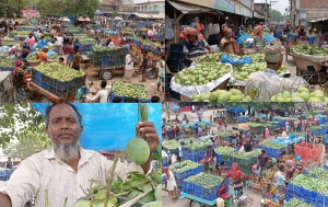 হঠাৎ কমল আমের দাম