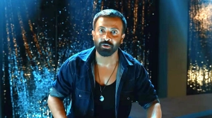 তাণ্ডব একদিনেই আয় ৫ কোটি+, ৭ দিনে আয়ের ইতিহাস গড়লেন শাকিব
