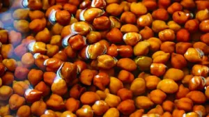 জেনেনিন সকালে খালি পেটে ছোলা খাওয়ার উপকারিতা