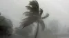 দুপুরের মধ্যেই ধেয়ে আসছে ঝড়, ৭ জেলা ঝুঁকিতে
