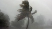 দুপুরের মধ্যেই ধেয়ে আসছে ঝড়, ৭ জেলা ঝুঁকিতে