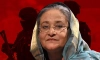 শেখ হাসিনাকে ফেরাতে শামীম হায়দারই ভারতের নতুন ভরসা?