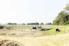 সরকারি খাস জমি লিজ: ফি, সময় ও আবেদন প্রক্রিয়া এক নজরে